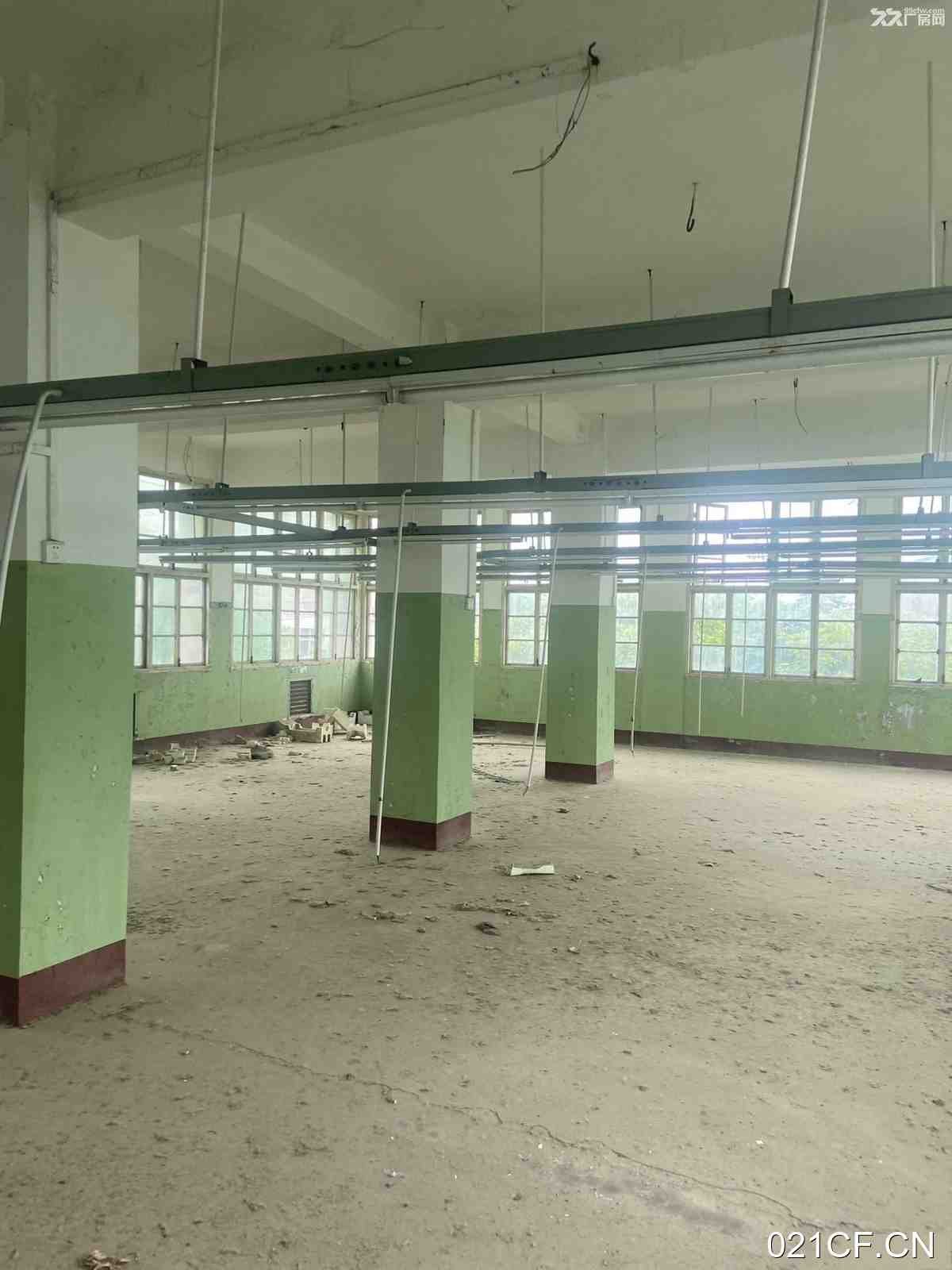 武汉黄陂仓库出租实景图2