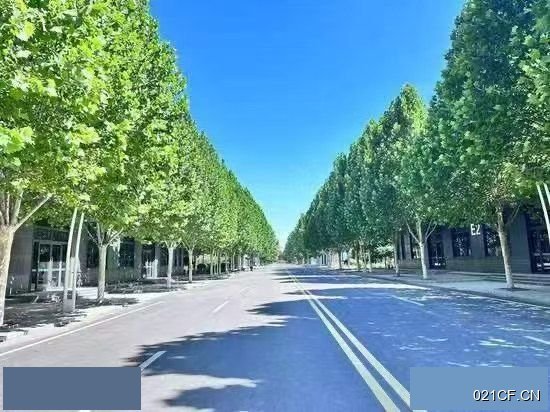 保定高碑店厂房出租实景图2