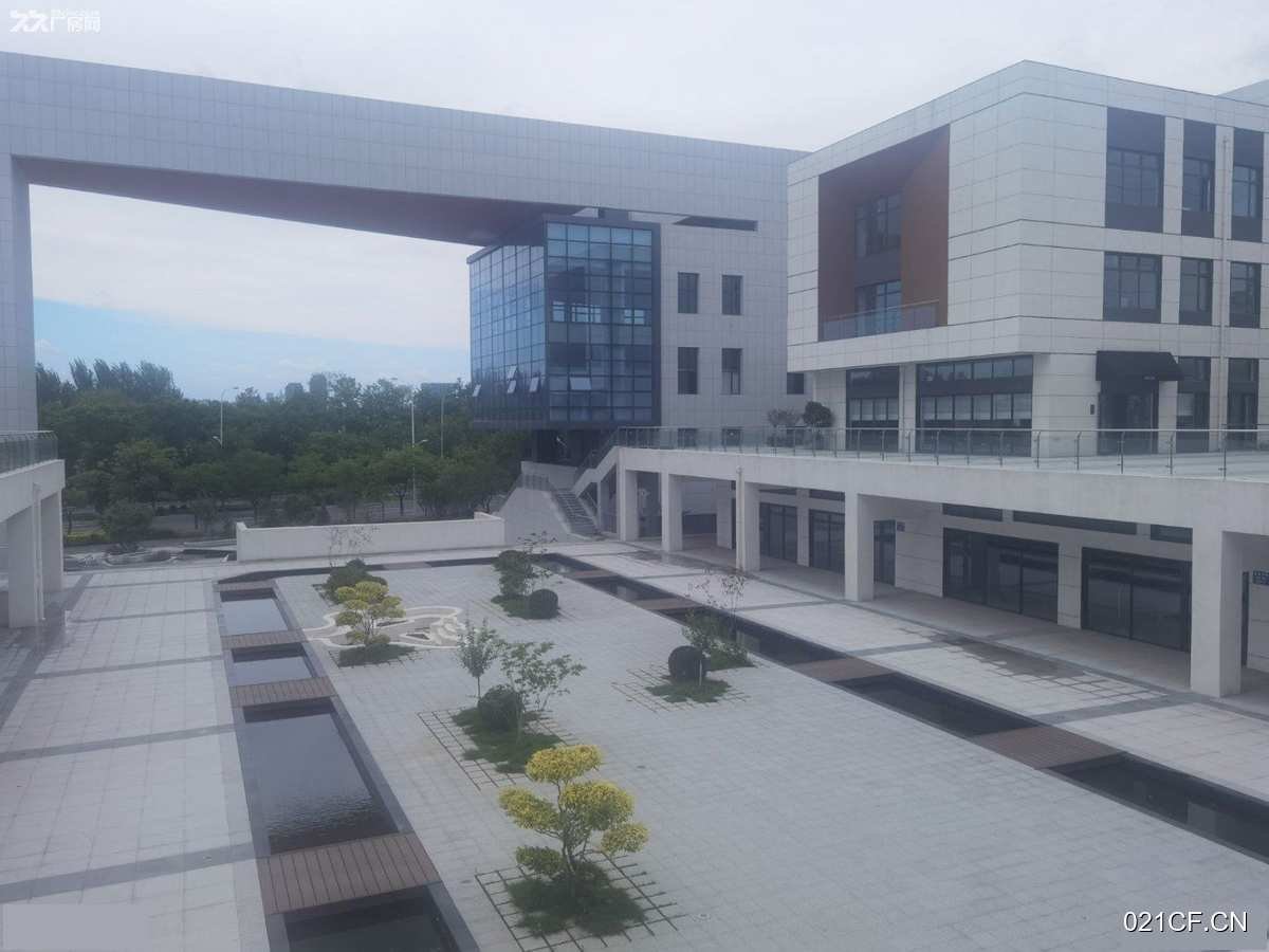 沈阳浑南厂房出租实景图2
