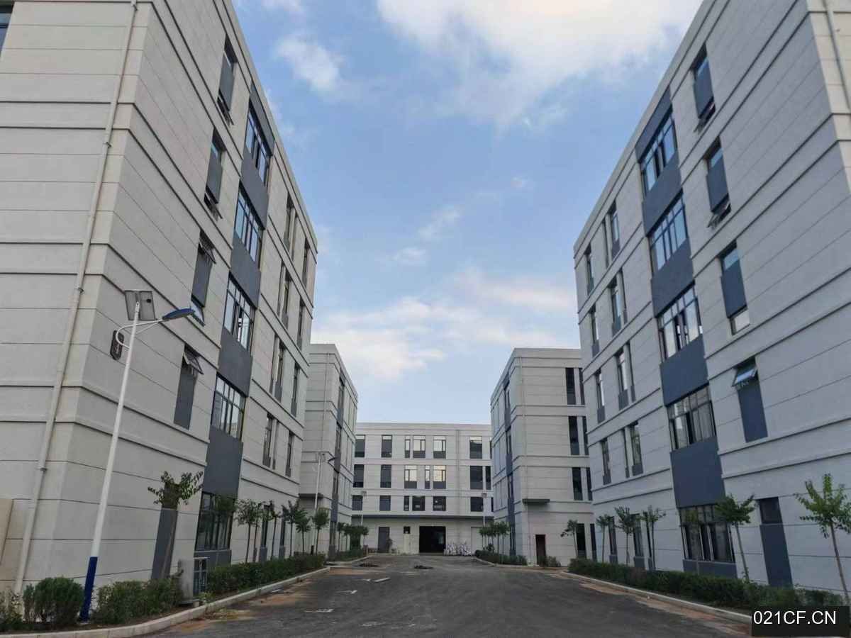 沈阳浑南中路区中路区中路可租可售高举架低首付单800㎡全新厂房出售：区位优势明显