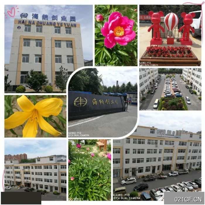 开发区大连开发区双港双D港厂小户型对外1000㎡交通便利层高3.6米厂房出租，首层3.6米层高