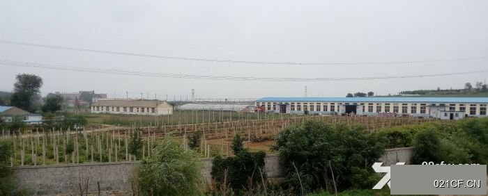 大连金州华家屯华家450㎡独门独院层高5米厂房出售，首层5米层高