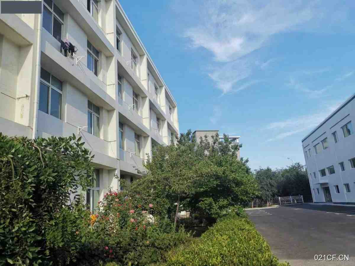 大连开发区双港双D港员工宿舍公寓35㎡可分租层高3米（开发区）厂房出租：首层3米层高