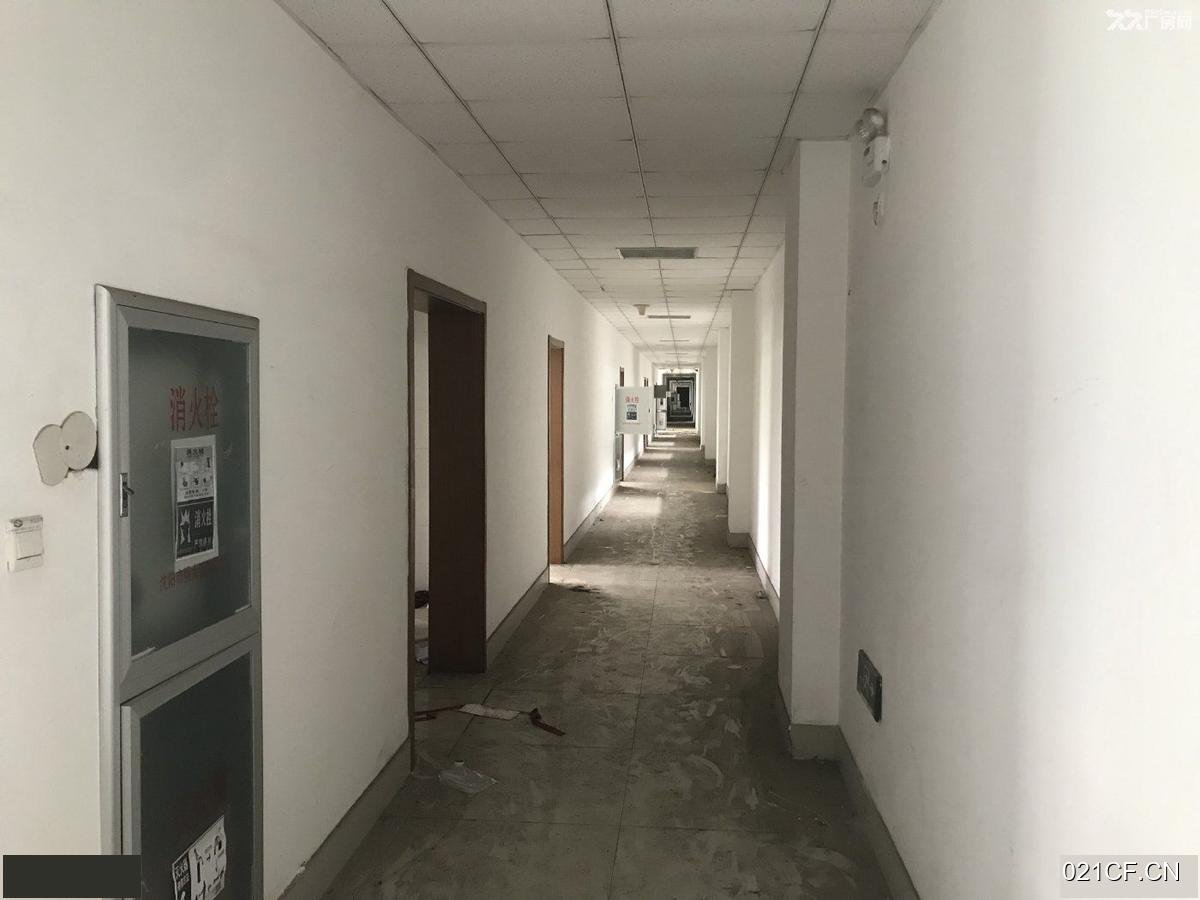 开发区大连开发区大窑湾阳光汽车产业园对外单层大车进出交通便利厂房出租，配套完善