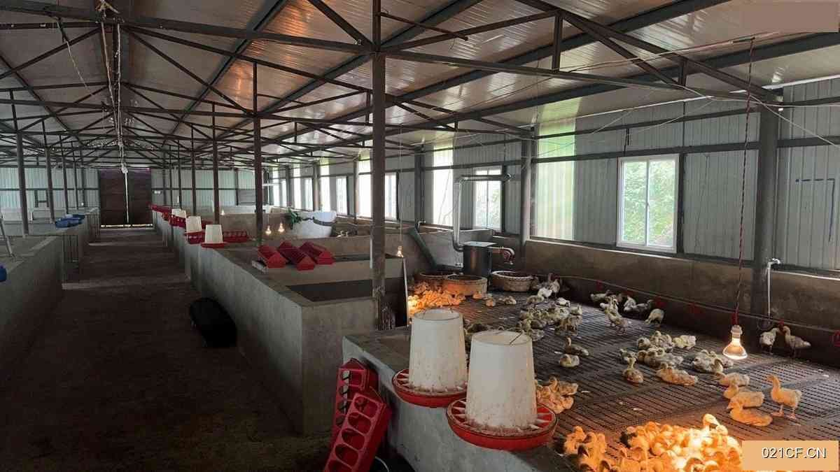 昆明富民其他拖卓养殖基地110亩可养殖鸡80㎡标准厂房单层大车进出厂房出租，配套完善