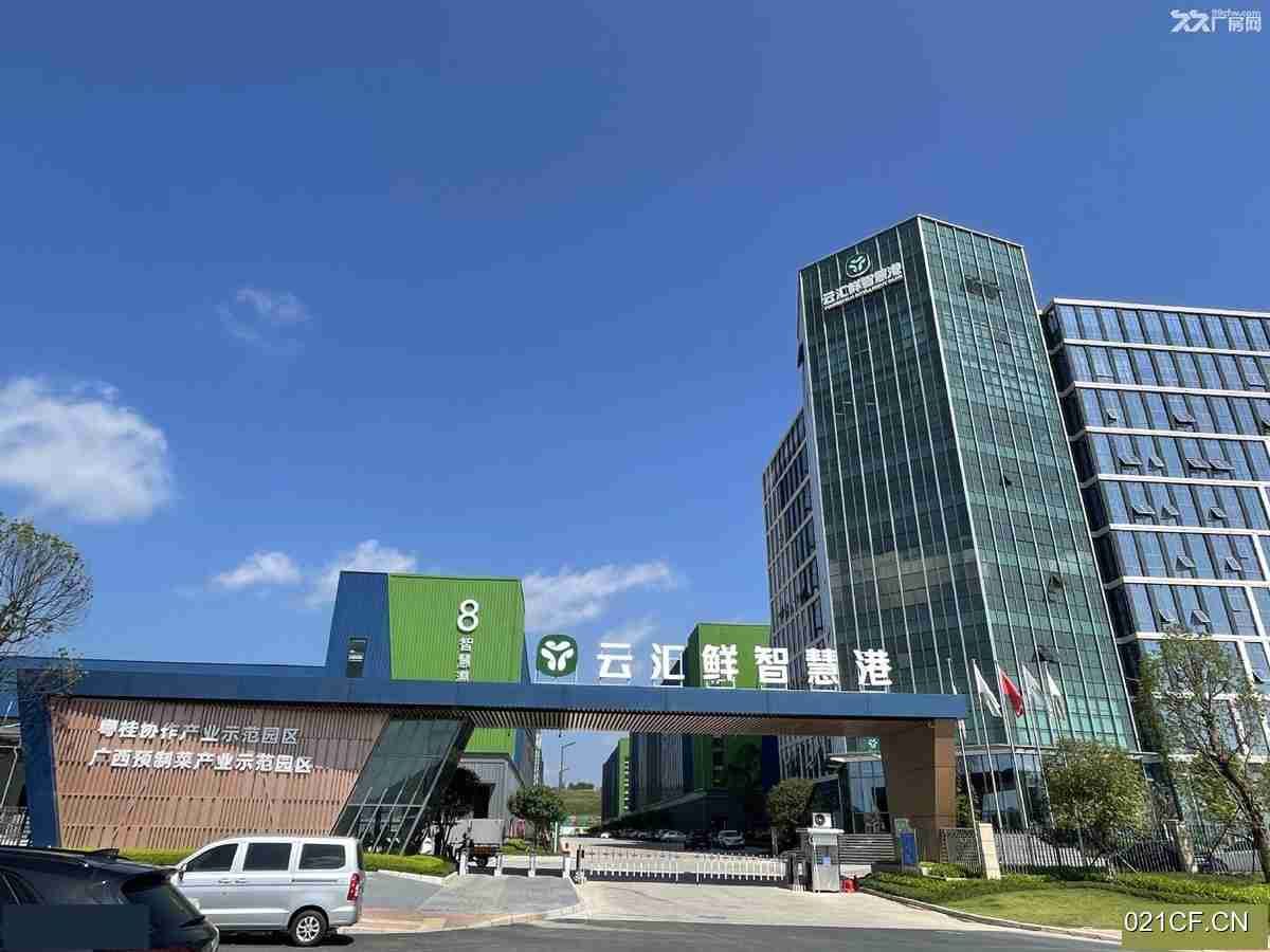 南宁江南国家经济开发区市生鲜产业园市生鲜产业园中央厨房仓储冷库500㎡标准厂房多层全新仓库出租
