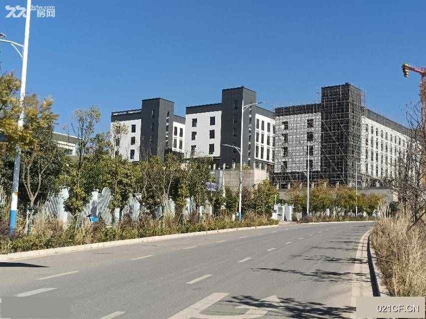 昆明呈贡洛羊大冲工业园大冲工业园区混泥土砖砌结构880000㎡独栋标准厂房单层（工业园）厂房出租：配