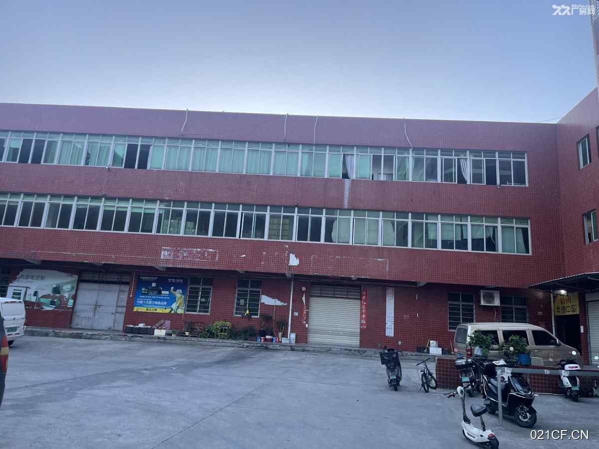 泉州惠安仓库出租实景图2