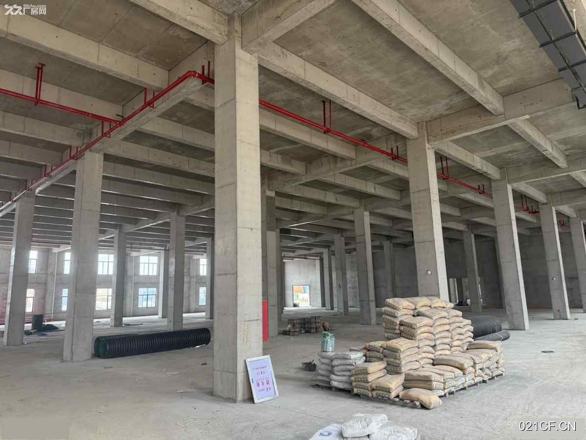 泉州洛江厂房出售实景图2