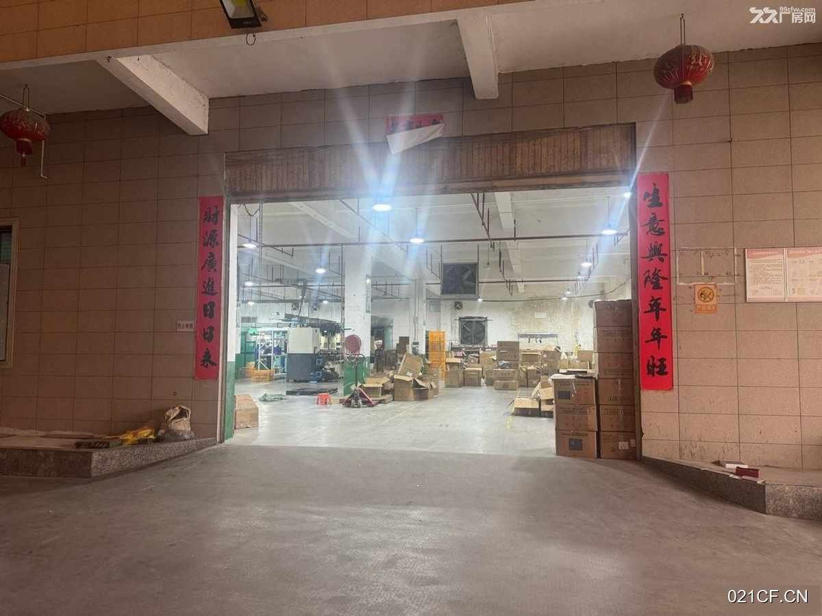 泉州晋江厂房出租实景图2