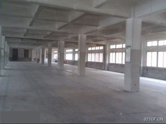 泉州丰泽厂房出租实景图2