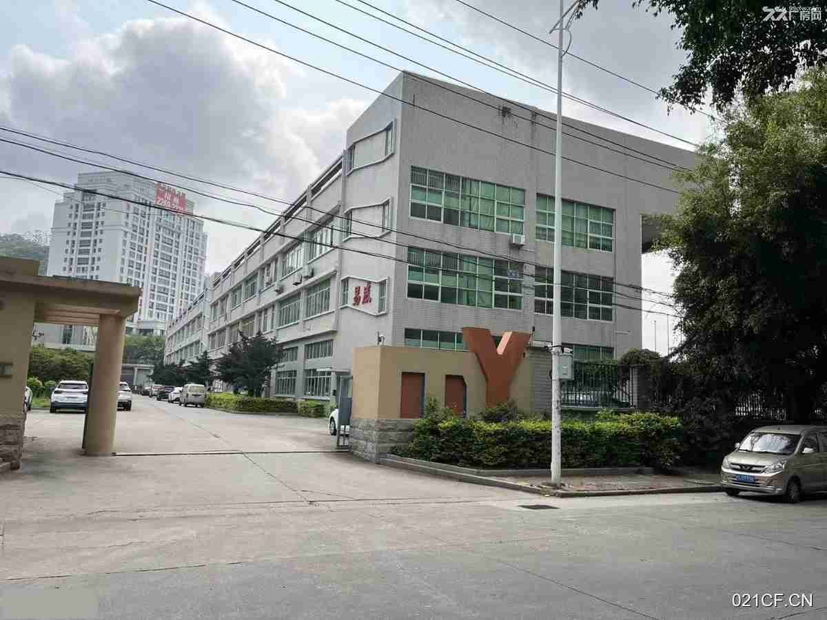 泉州洛江塘西工业区二期新南路8号区新南路区新南路8号+钢盘混凝土2楼3175㎡标准厂房双层大车进出（厂房出租