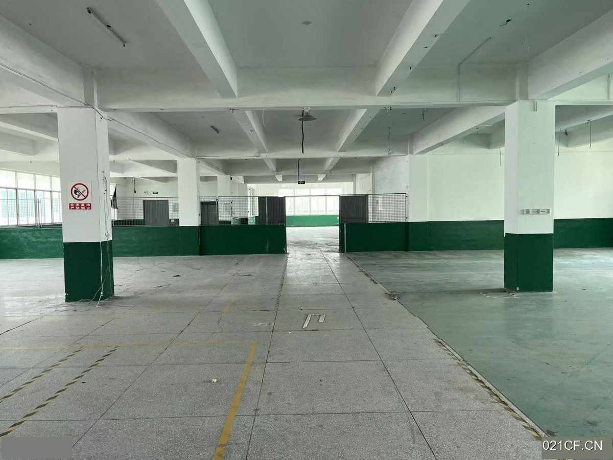 泉州洛江厂房出租实景图2