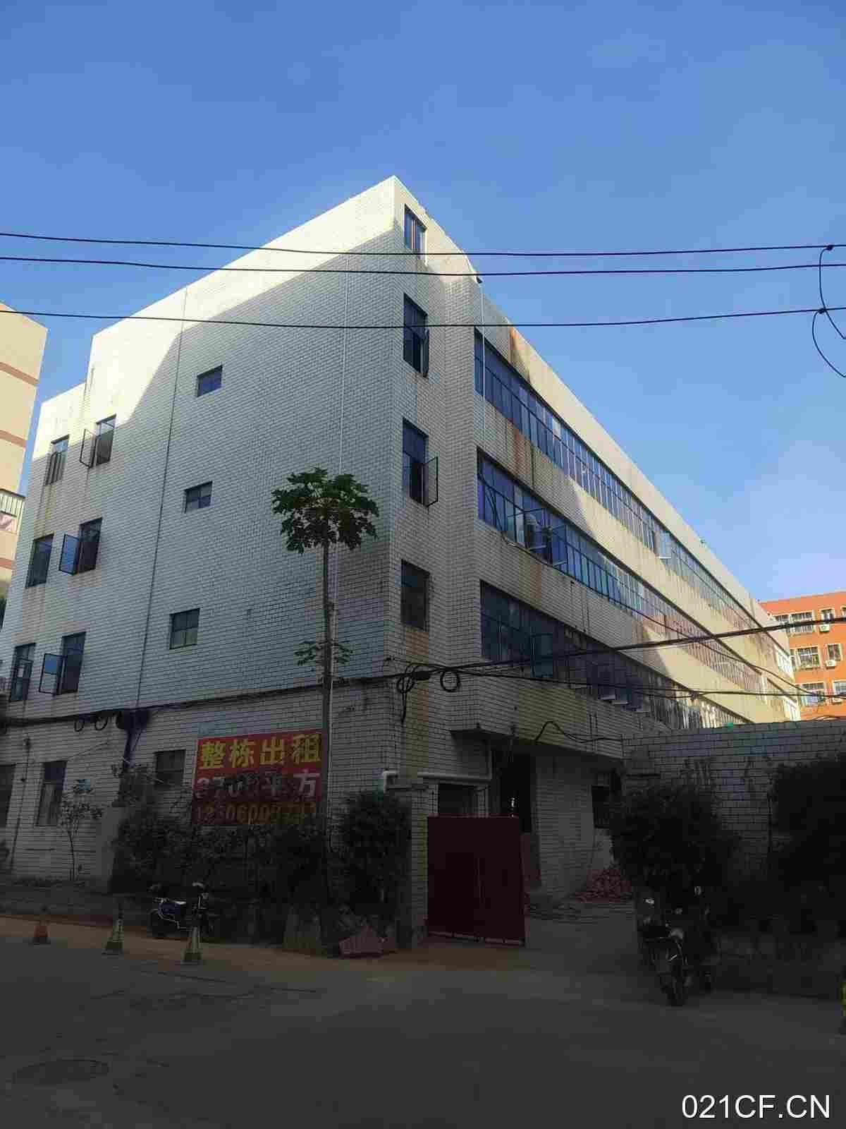 泉州鲤城厂房出租实景图2