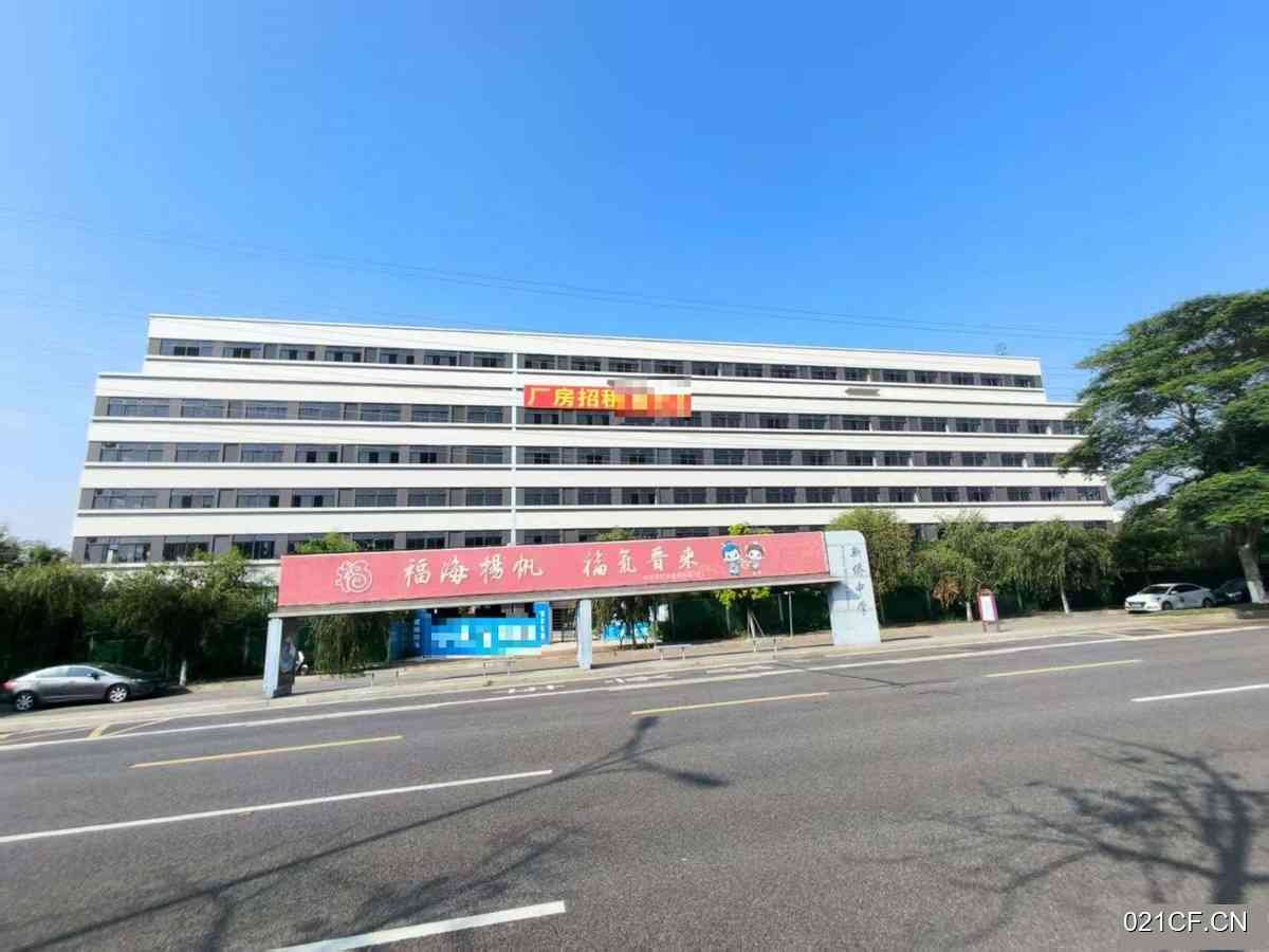 【重点】建省泉州市晋江福建省市市新塘后洋195号新塘后洋195号全新独门独院大车进出厂房出租，优质产