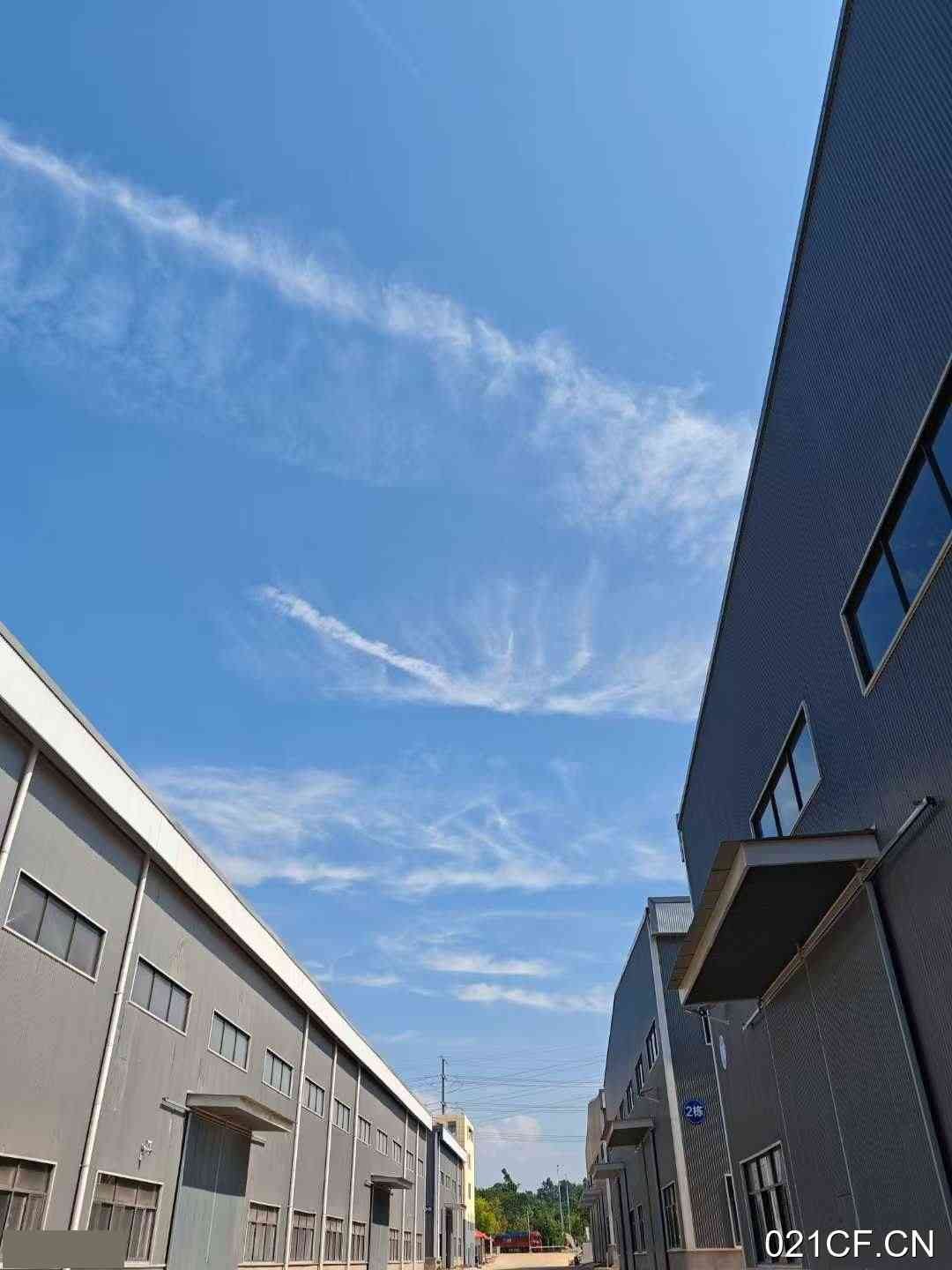 海口其他海南老城科技新城威旺工业园老城层高9-15米的轻钢结构8000㎡全新可分租厂房出租｜工业园，