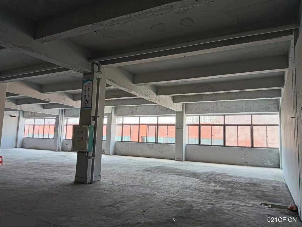 海口龙华金宇龙海区十号大仓园区50000㎡独栋可分租（）厂房出租：配套完善