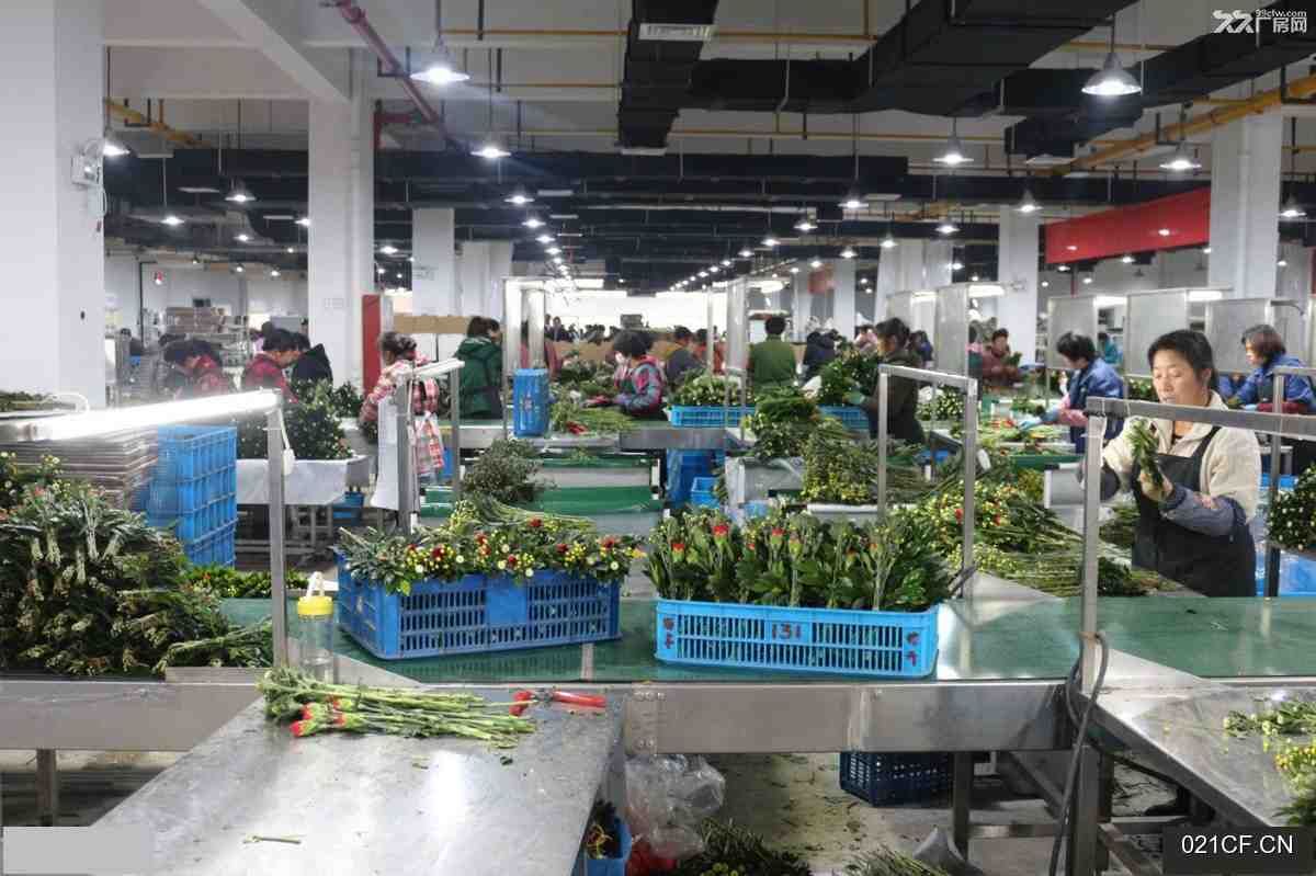 绍兴厂房出售实景图2