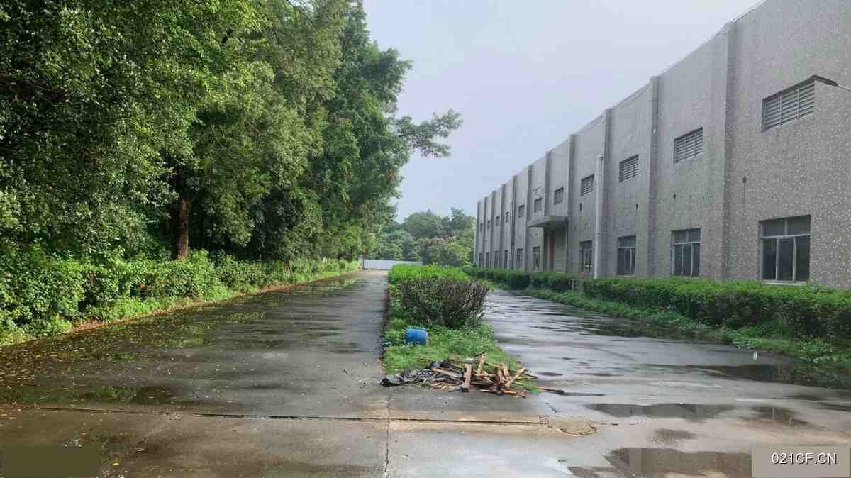 惠州博罗周边日排水900吨/天洗水环评水26000㎡独门独院交通便利可分租（）厂房出租：配套完善