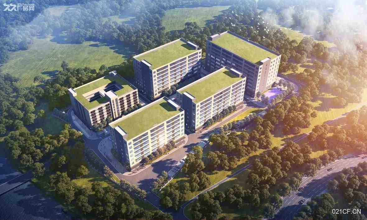惠州博罗厂房出租实景图2
