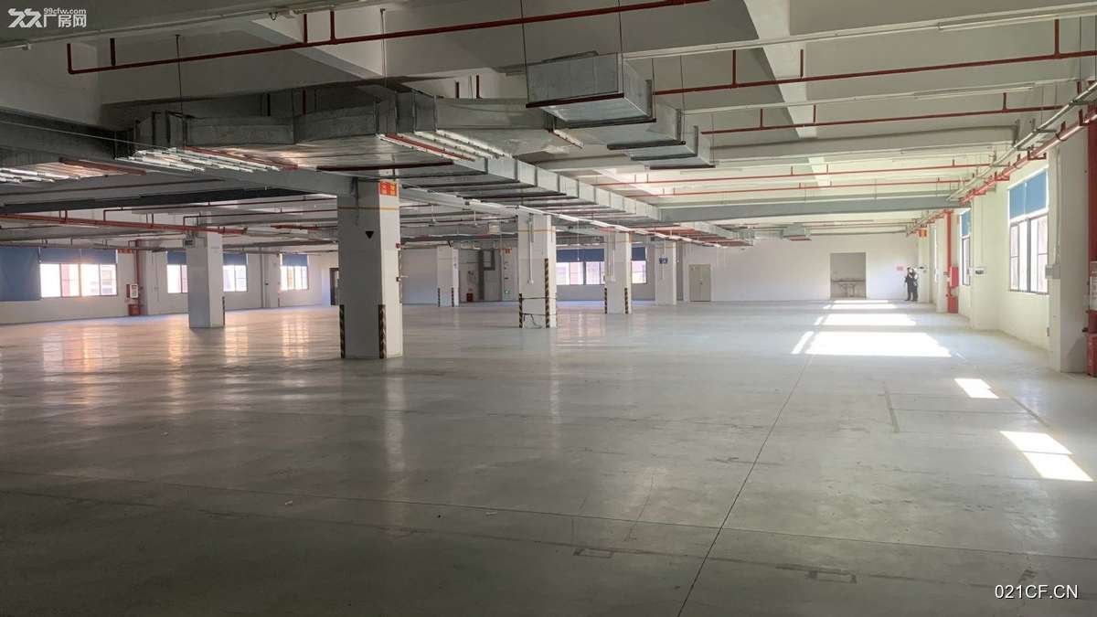 惠州博罗厂房出租实景图2
