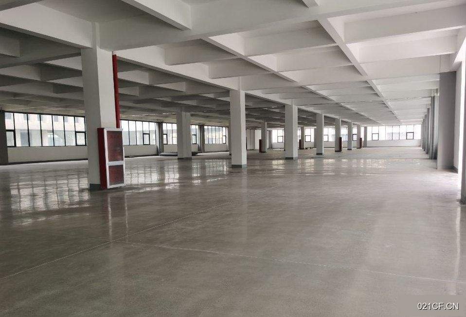 湖州德清厂房出售实景外观