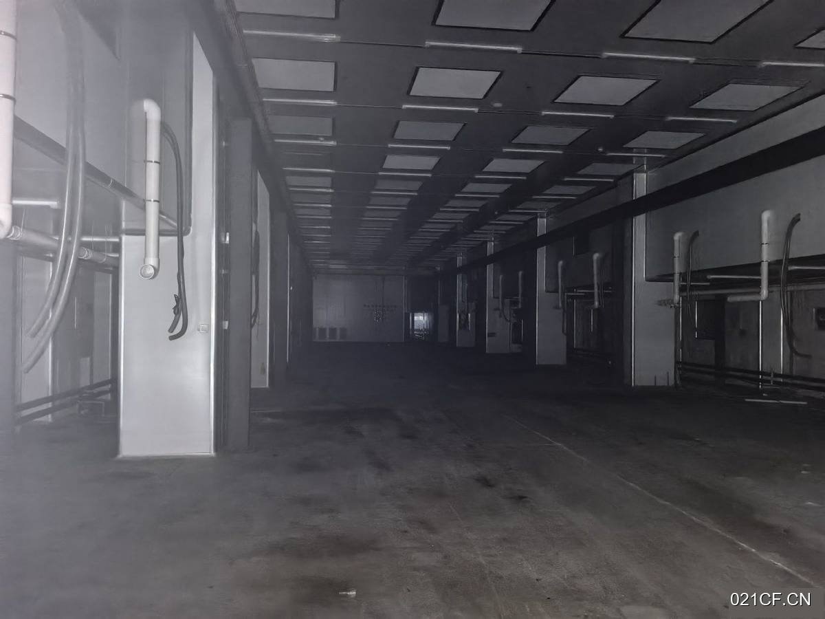 芜湖鸠江厂房出租实景外观