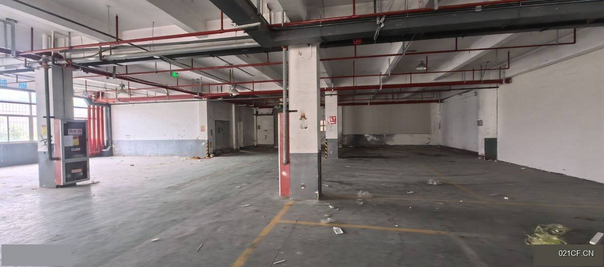 芜湖弋江长江南路区框架一楼850㎡标准厂房单层大车进出厂房出租：区位优势明显