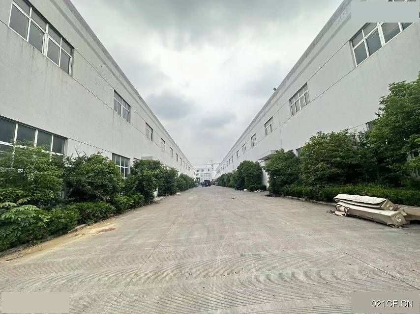 泰州海陵仓库出租实景图2