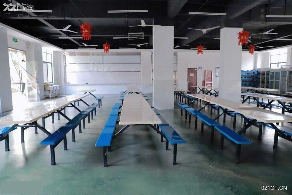 赣州开发区厂房出租实景图2