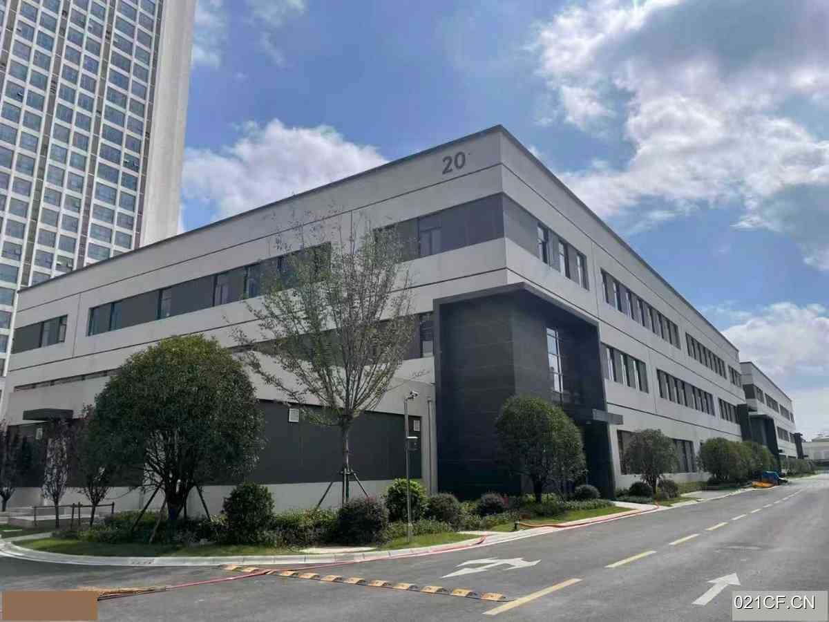 镇江新区厂房出租实景图2