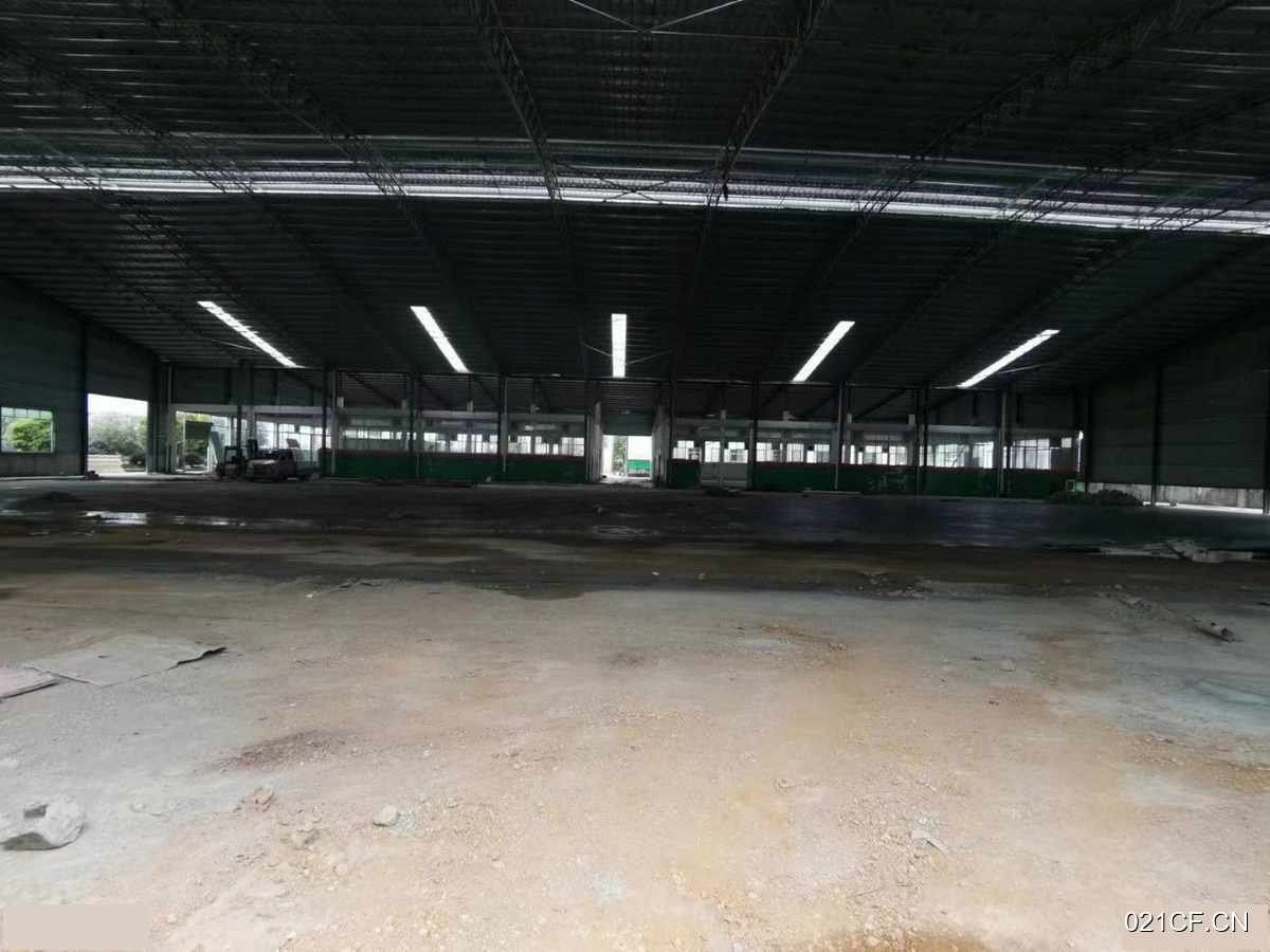 柳州融水厂房出租实景图2