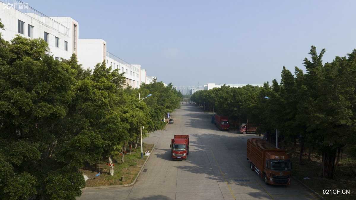 柳州鱼峰厂房出租实景图2