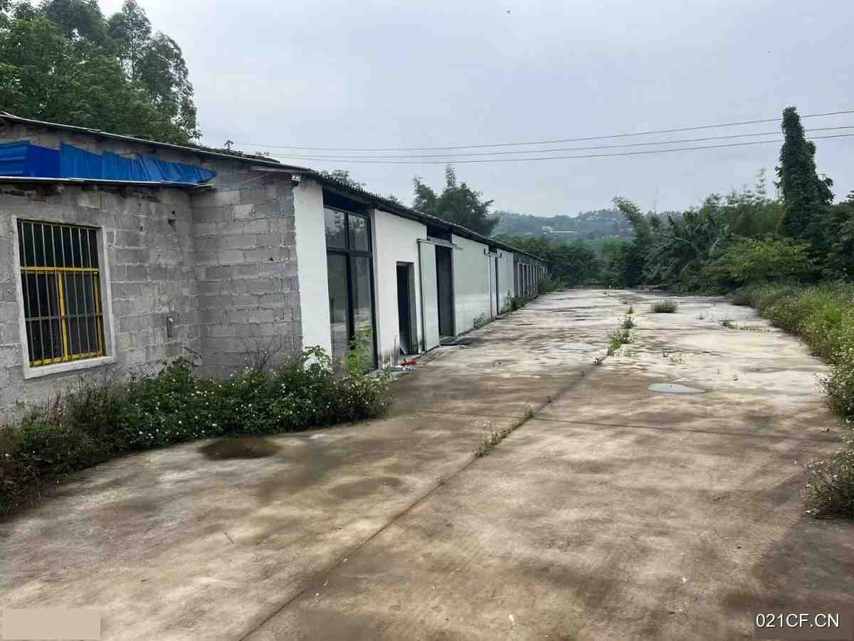 柳州柳南厂房出租实景图2
