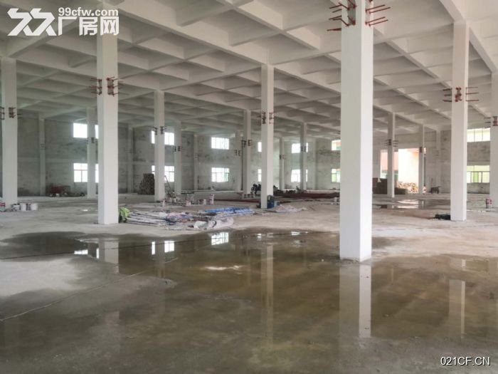 江门开平厂房出租实景图2