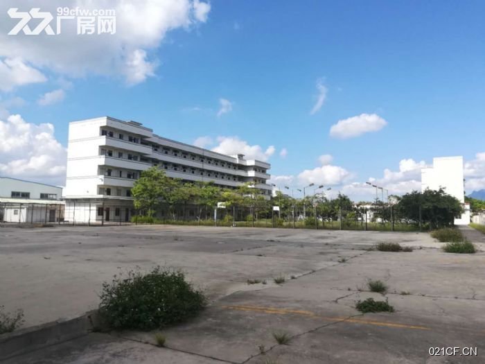 江门新会厂房出租实景图2