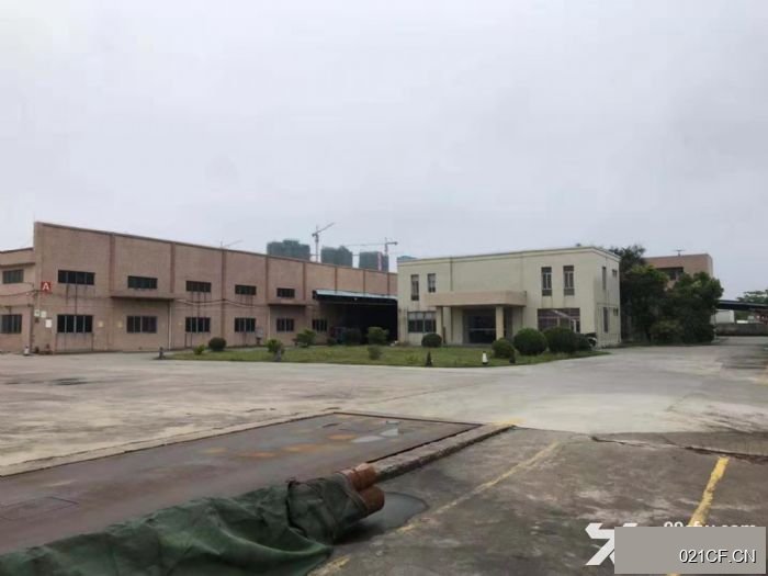 江门新会厂房出租实景外观