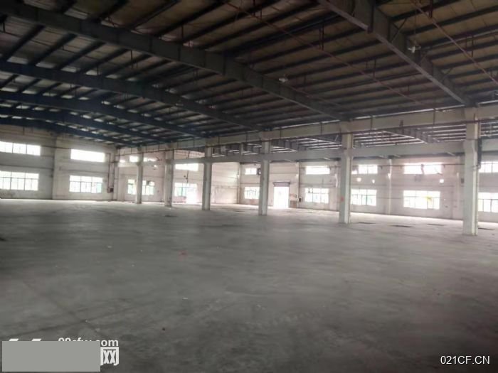 江门台山厂房出租实景图2