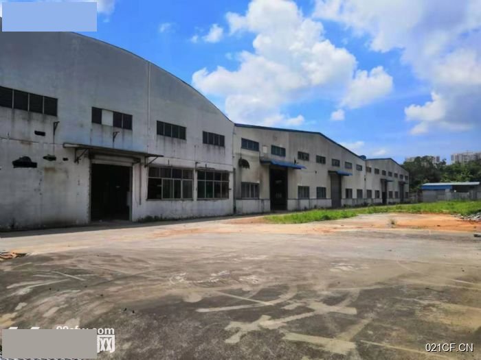 江门台山厂房出租实景图2