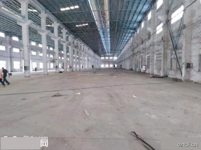 江门台山厂房出租实景图2