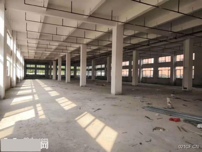 江门台山厂房出租实景图2