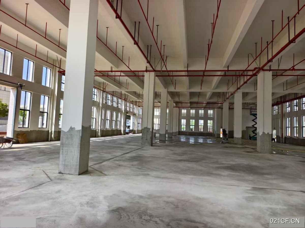 江门蓬江厂房出租实景图2