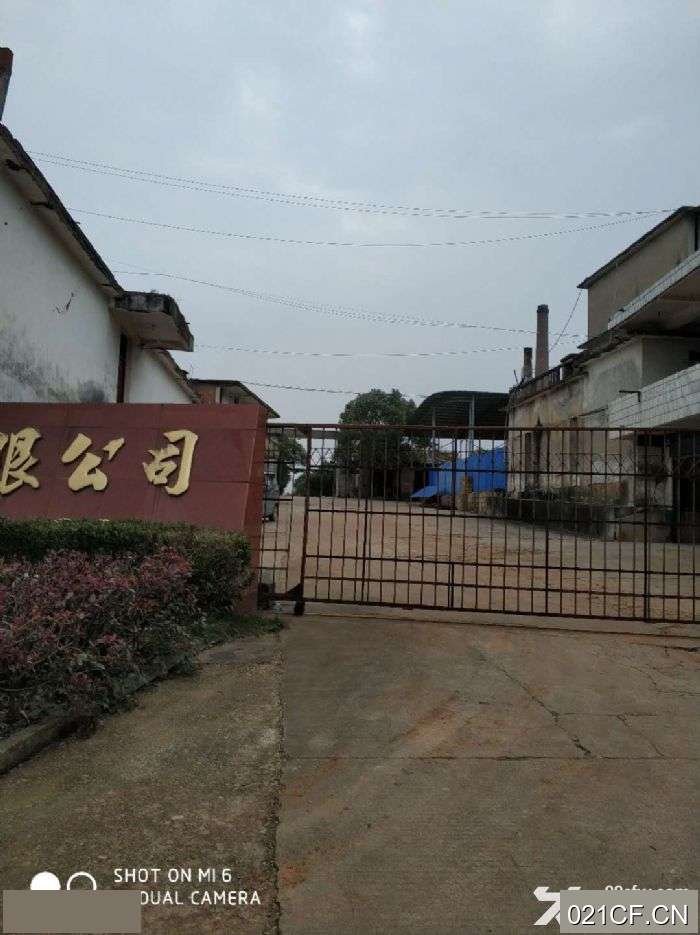 鹰潭月湖厂房出租实景图2
