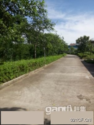 北海合浦仓库出租实景图2