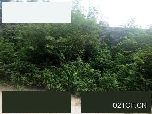 北海合浦石油公司附近石油公司附近带大车进出交通便利面积面议厂房出售｜，优质产业载体