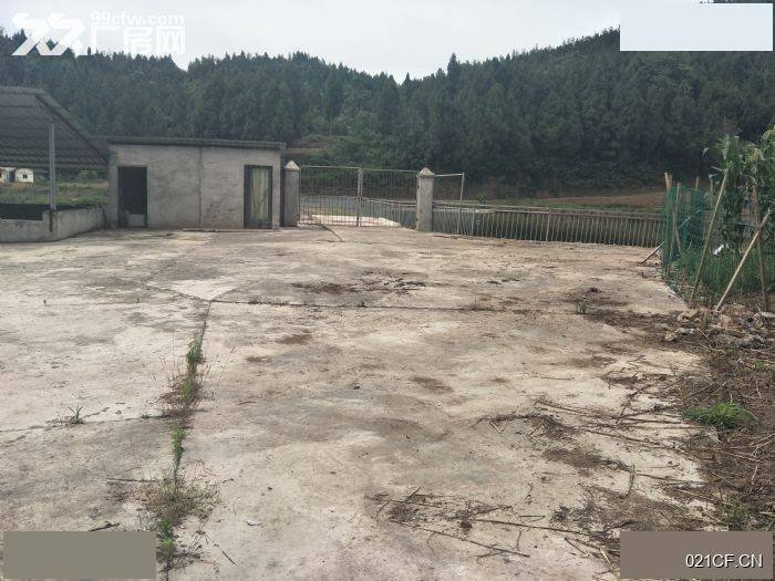南充南部厂房出租实景外观