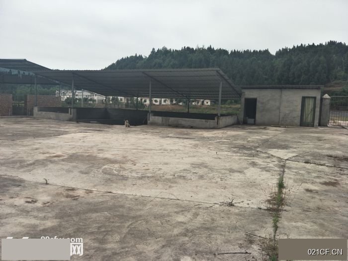 南充南部厂房出租实景图2
