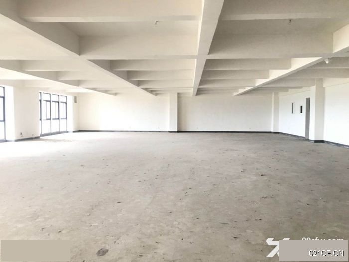 泸州泸县厂房出售实景图2