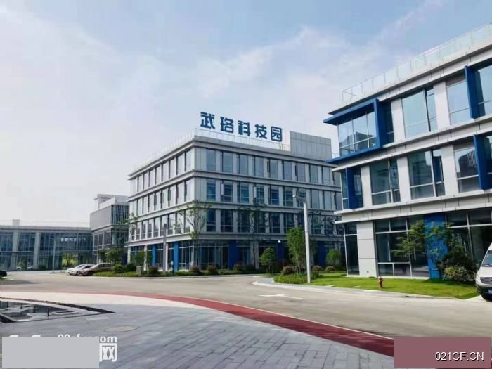 泸州泸县厂房出租实景图2