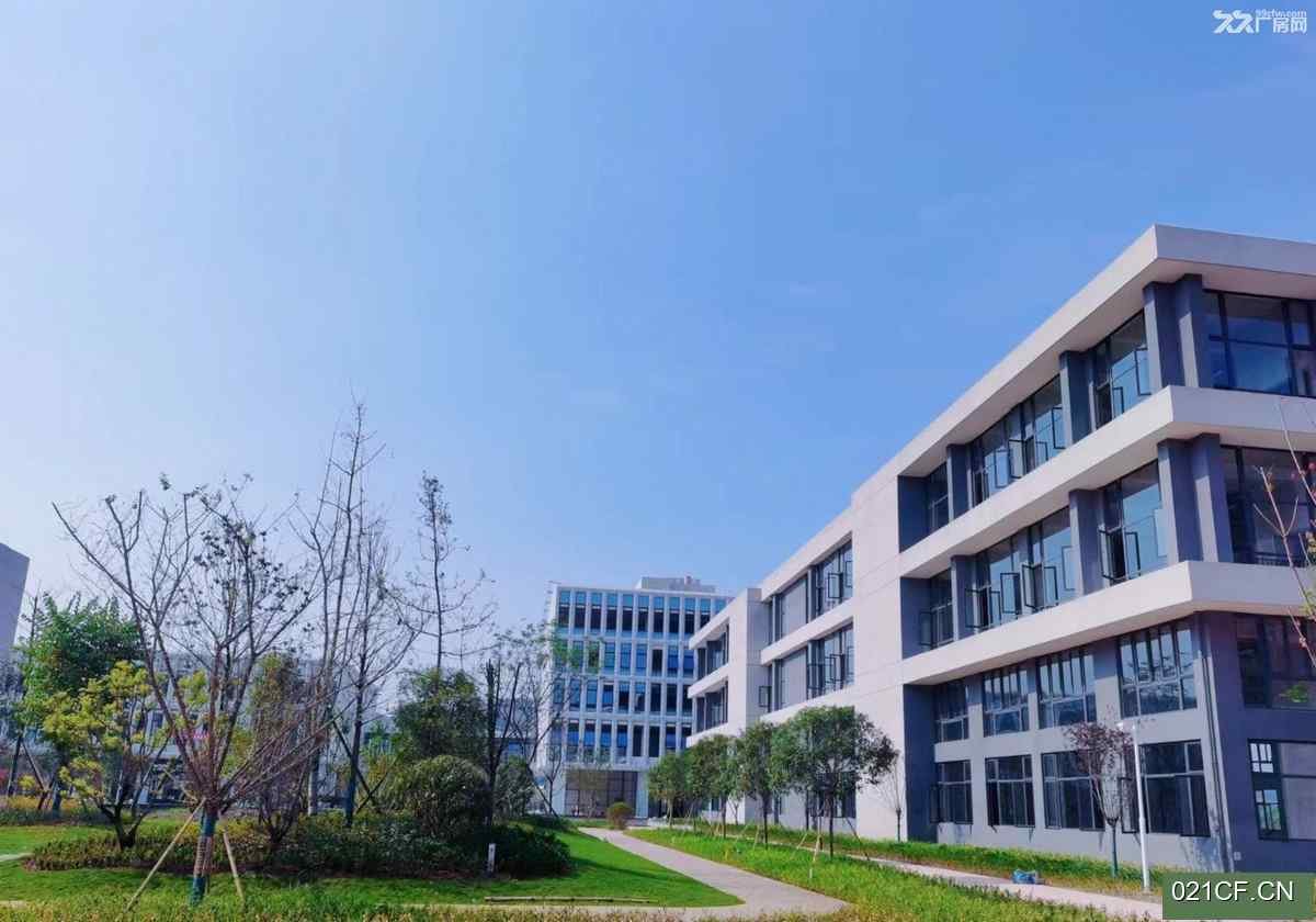 泸州泸县厂房出租实景图2